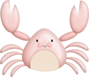 a pink beach crab
